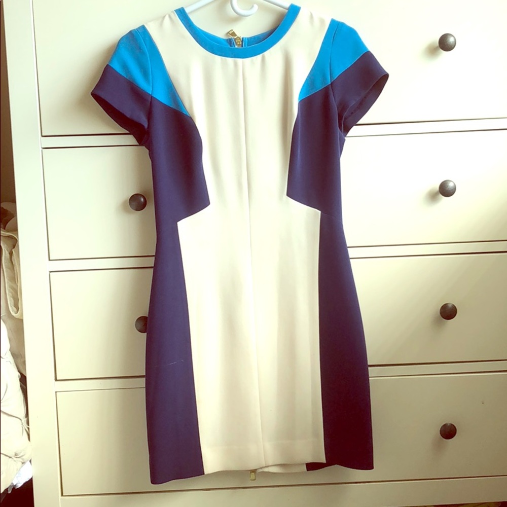 Club Monaco Zip-up the back fitted dress